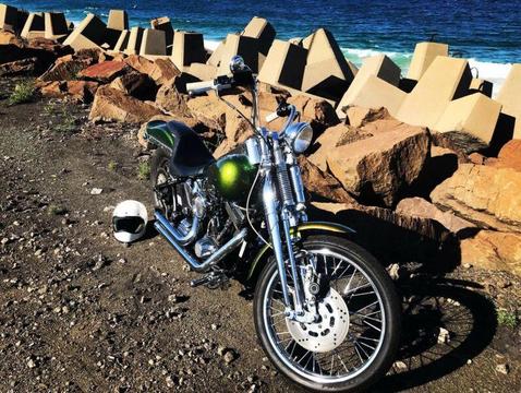 Harley Softail Springer 1340cc