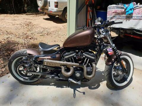 2016 Custom Harley Davidson Forty Eight 883