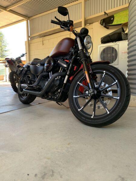 Harley Davidson iron 883 (1200 conversion)
