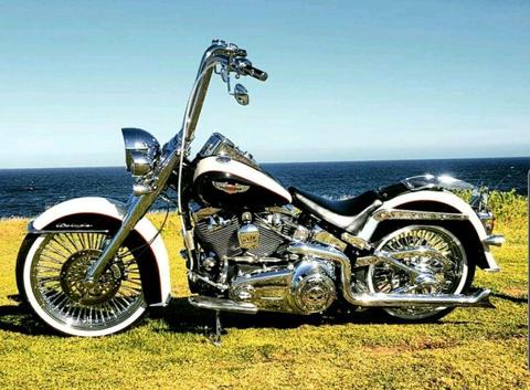 Harley Davidson Softail Deluxe Vicla