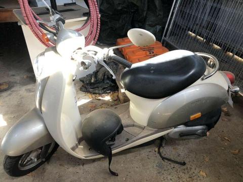 Honda Scoopy Scooter low kms