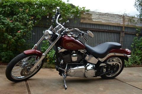 Harley 2009 Softail Custom