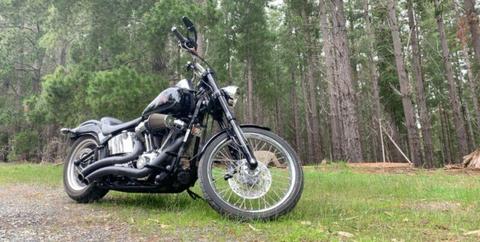My09 Harley Davidson Softtail Custom