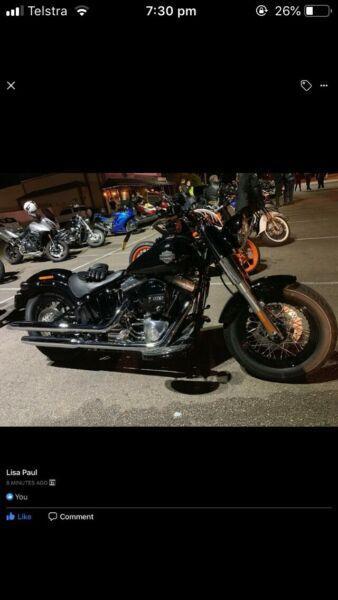 Harley Davidson soft tail slim