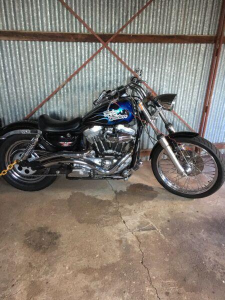 Harley Davidson custom sportster