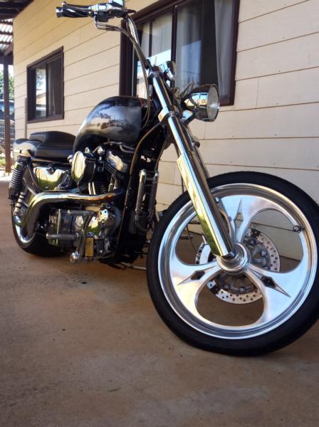 Harley custom