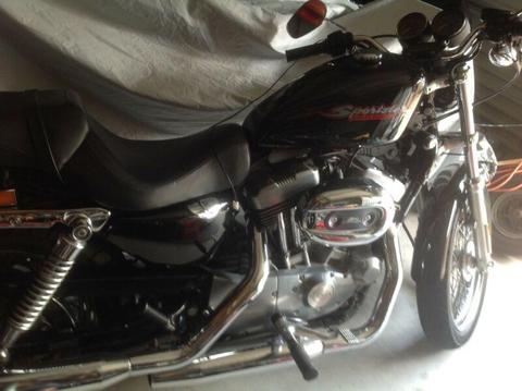 Harley sportster. Motor cycle