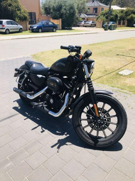Harley Davidson sportster ( forty-eight looks)