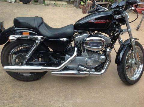 Harley sportster. 883