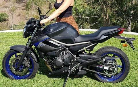 Yamaha XJ6 Motorcycle