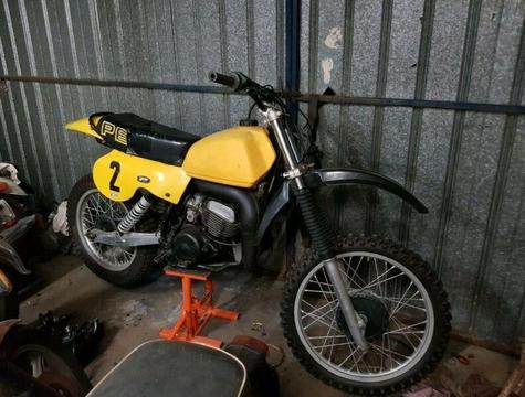 Suzuki Pe 400