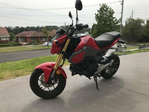 Honda Grom 2016 - Excellent Condtion under 1000km. 1st Service Done