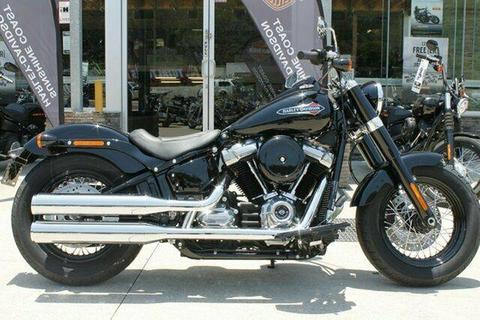 2020 Harley-Davidson FLSL Slim (107)