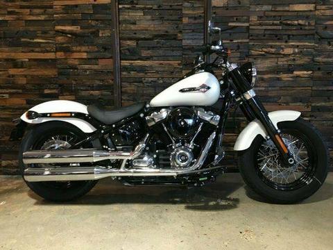 2019 Harley-Davidson FLSL Slim (107) (Solid)