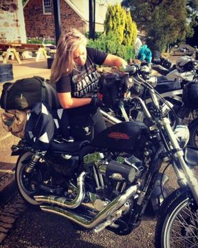 72 Sportster Harley Davidson 1200cc 2013