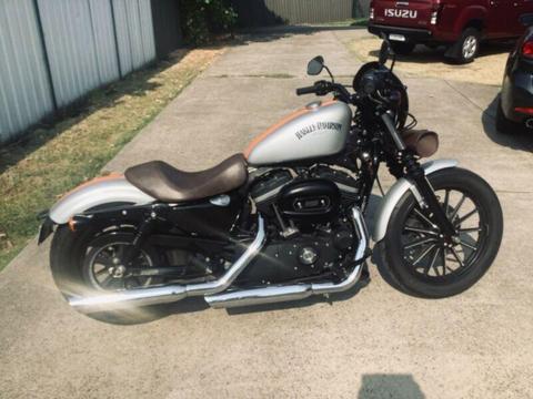 HARLEY DAVIDSON IRON 883 IN EXCELLENT CONDITION