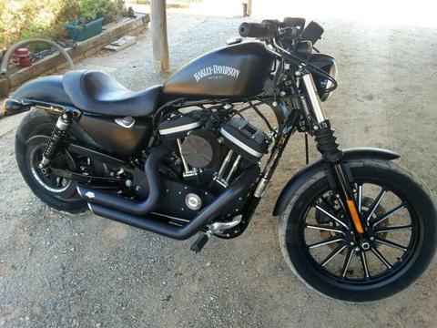 Harley 883 iron for sale