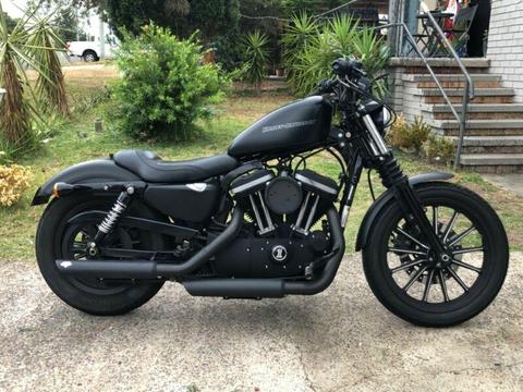 Harley 883 iron sporstser