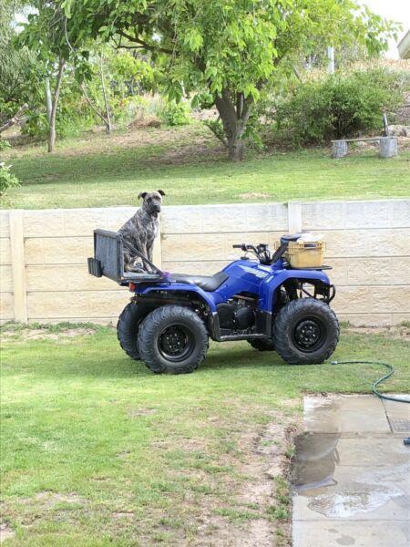 2019 Yamaha grizzly 350 4x4