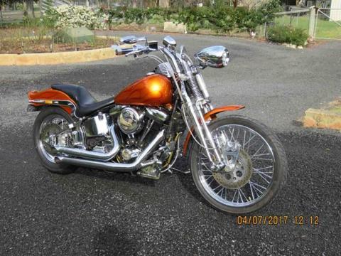 Harley Custom Springer