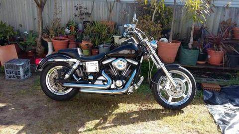 Harley Davidson Evo Custom
