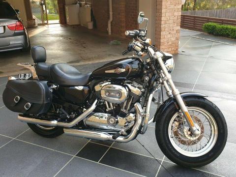 2012 Harley Davidson Sportster Custom 1200