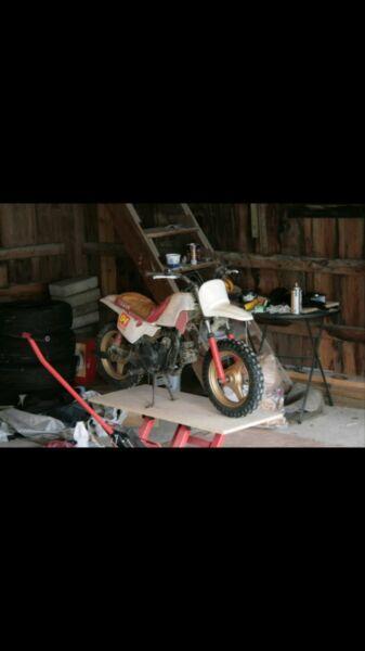 Wanted pw50/80