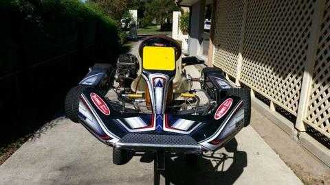 Tibi racing go kart KT 100S YAMAHA