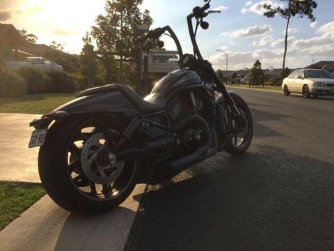 Harley Davidson vrod 2013 night rod