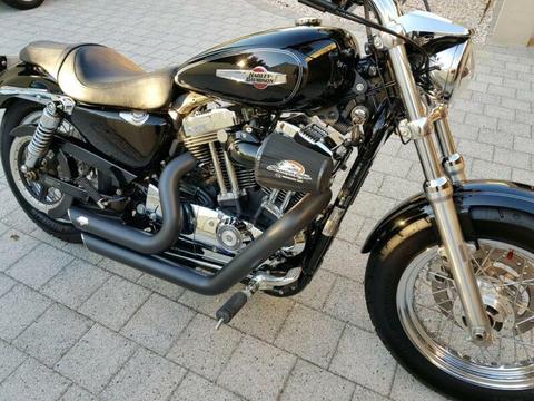 Harley Davidson XL custom