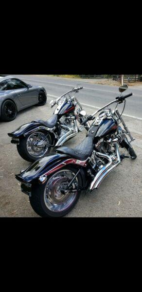 2008 Harley Davidson Softail custom