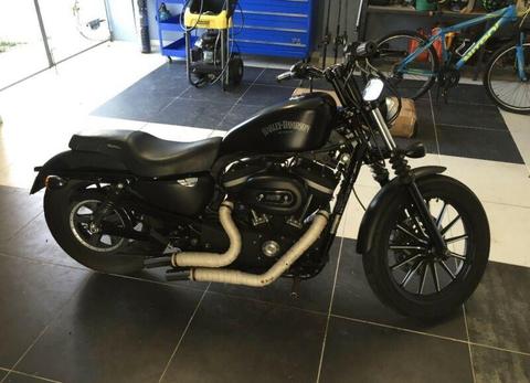 883 Iron Sportster - Amazing Condition