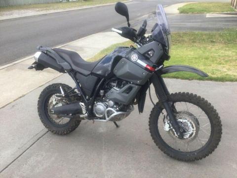 Yamaha XT660Z Tenere Motorcycle