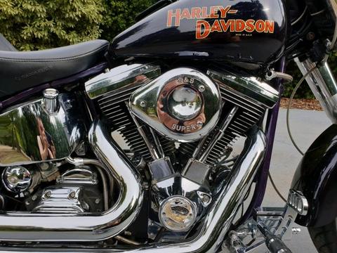 Harley Davidson Fatboy (FLSTF)