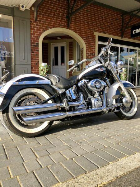 Harley Davidson 07 -22ooo-km Softail deluxe $12500 firm!