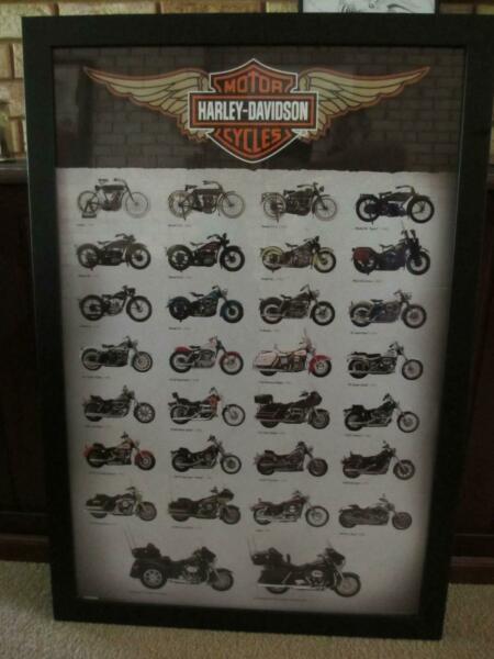 Harley Davidson framed Print of models from******2013