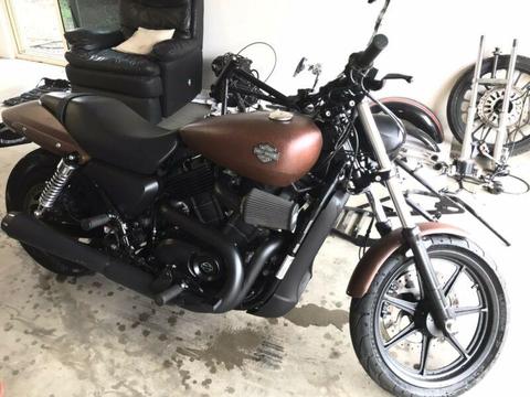 XG 500 Harley Davidson