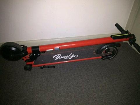 250w Adult electric scooter