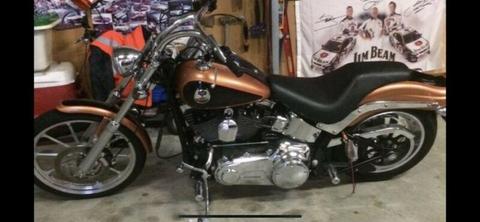 Harley Davidson soft tail custom
