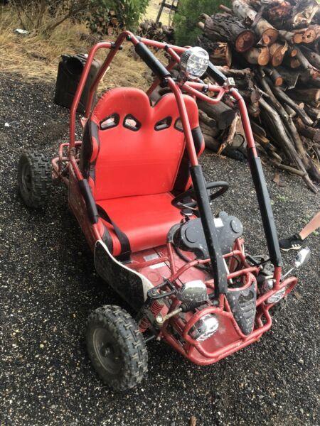 50cc kids buggy. Electric start and pull start 2 seater
