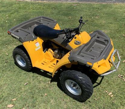 Can Am Bombardier Rally 200 2x4 Quad