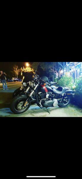 Harley Davidson fat bob FXDF Dyna