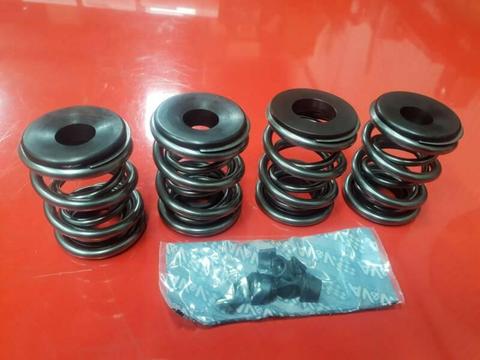 Harley davidson valve spring kit