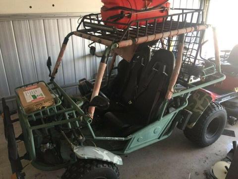 Two seater buggy dune buggy two seat 250cc