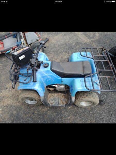 Mini quad bike runs has been serviced comes with spare ignition