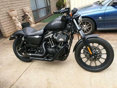 Harley Davidson Iron 883 2014