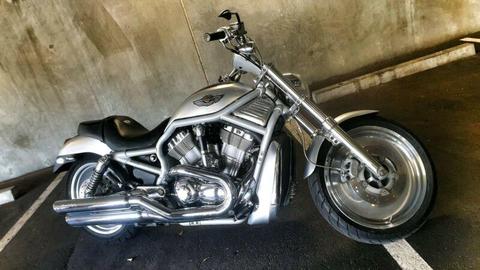 2003 Harley Davidson Vrod Anniversary Edition