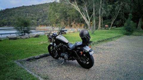 2008 Harley Davidson Sportster XL1200N Nightster