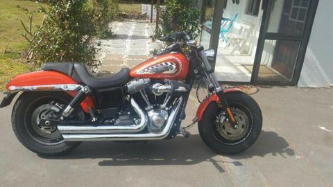 2017 fatbob 26000 km pipes, intake, ported polished and more
