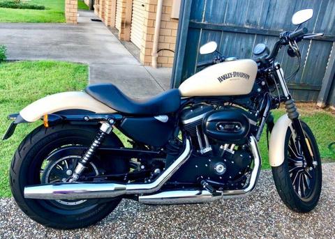 2013 Harley-Davidson Iron 883 (XL883N) MY2014